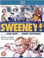 Cover image of the movie Sweeney!