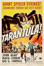 Cover image of the movie Tarantula
