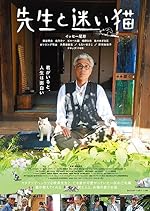 Cover image of the movie Teacher and Stray Cat