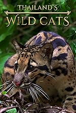 Cover image of the movie Thailand's Wild Cats