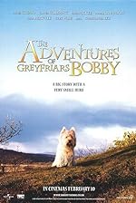 Cover image of the movie The Adventures of Greyfriars Bobby