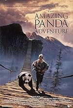 Cover image of the movie The Amazing Panda Adventure