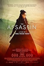 Cover image of the movie The Assassin