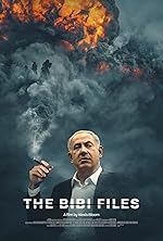 Cover image of the movie The Bibi Files