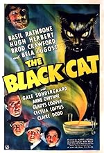 Cover image of the movie The Black Cat