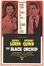 Cover image of the movie The Black Orchid