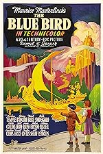 Cover image of the movie The Blue Bird