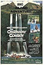 Cover image of the movie The Castaway Cowboy
