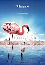 Cover image of the movie The Crimson Wing: Mystery of the Flamingos