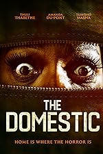 Cover image of the movie The Domestic