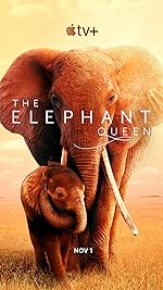 Cover image of the movie The Elephant Queen