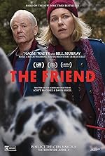 Cover image of the movie The Friend