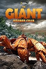 Cover image of the movie The Giant Robber Crab