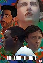 Cover image of the movie The Land of Owls