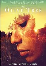 Cover image of the movie The Olive Tree