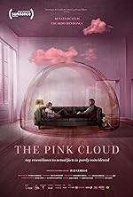 Cover image of the movie The Pink Cloud