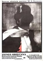 Cover image of the movie The Promised Land