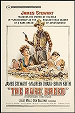 Cover image of the movie The Rare Breed