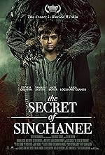 Cover image of the movie The Secret of Sinchanee