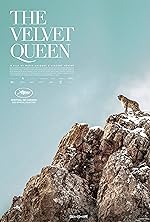 Cover image of the movie The Velvet Queen