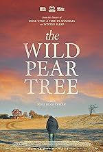 Cover image of the movie The Wild Pear Tree