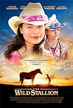 Cover image of the movie The Wild Stallion