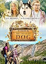 Cover image of the movie Timber the Treasure Dog