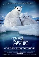 Cover image of the movie To the Arctic 3D