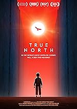 Cover image of the movie True North