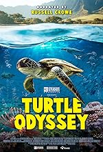 Cover image of the movie Turtle Odyssey