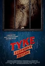 Cover image of the movie Tyke Elephant Outlaw