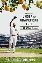 Cover image of the movie Under the Grapefruit Tree: The CC Sabathia Story