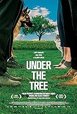 Cover image of the movie Under the Tree
