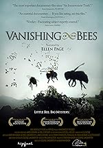 Cover image of the movie Vanishing of the Bees