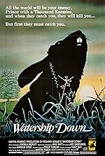 Cover image of the movie Watership Down
