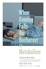 Cover image of the movie When Evening Falls on Bucharest or Metabolism