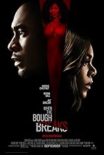 Cover image of the movie When the Bough Breaks