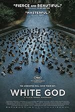 Cover image of the movie White God