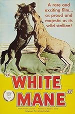 Cover image of the movie White Mane