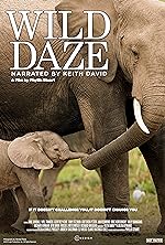 Cover image of the movie Wild Daze
