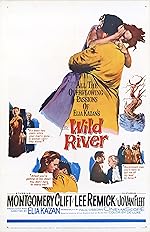 Cover image of the movie Wild River