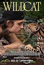 Cover image of the movie Wildcat