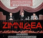 Cover image of the movie Zimnicea